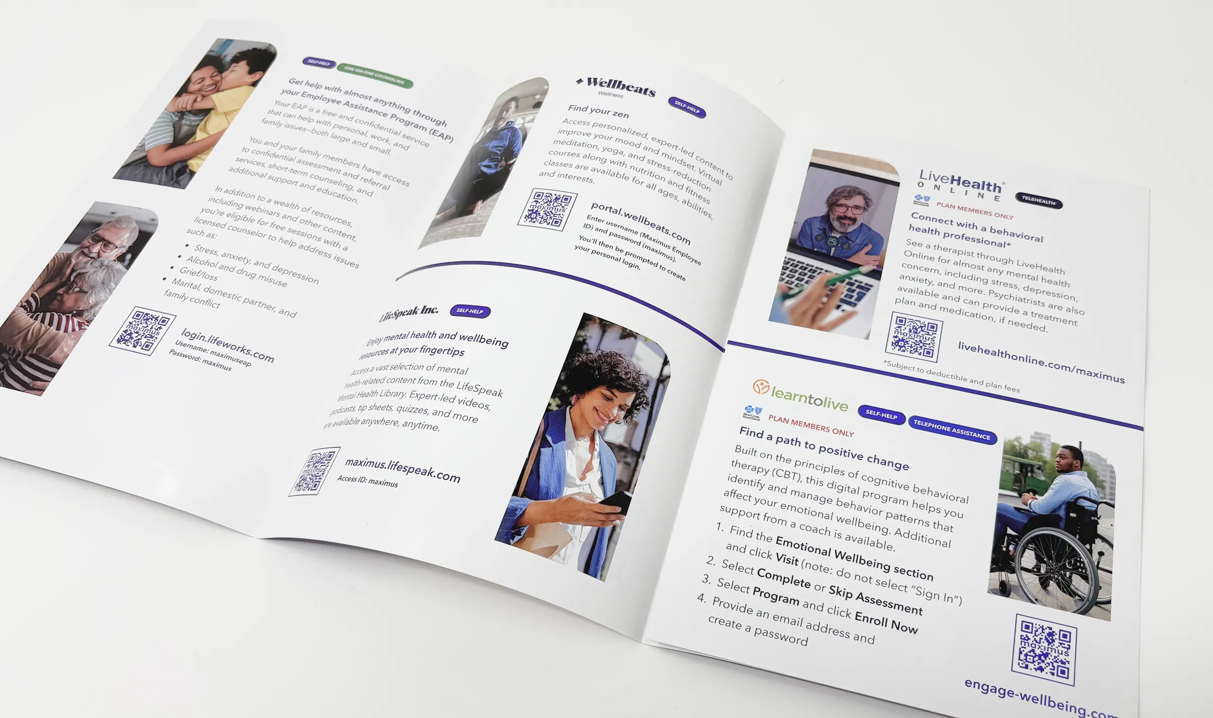 Maximus Brochures